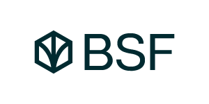 BSF